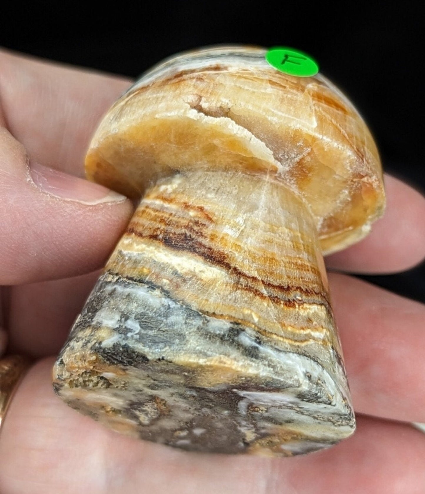 Banded Brown Aragonite Mushrooms