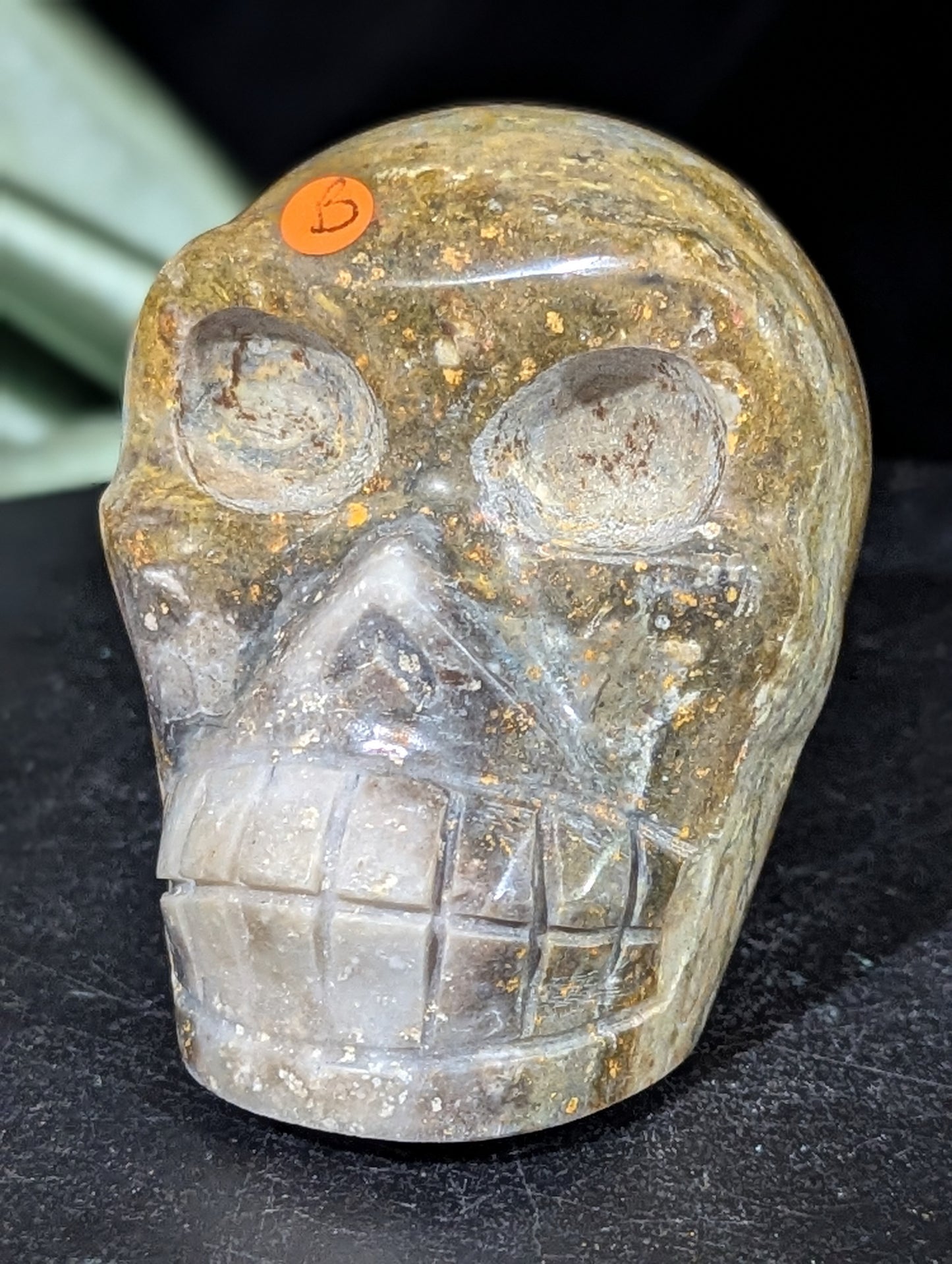 Bumblebee Jasper Skull