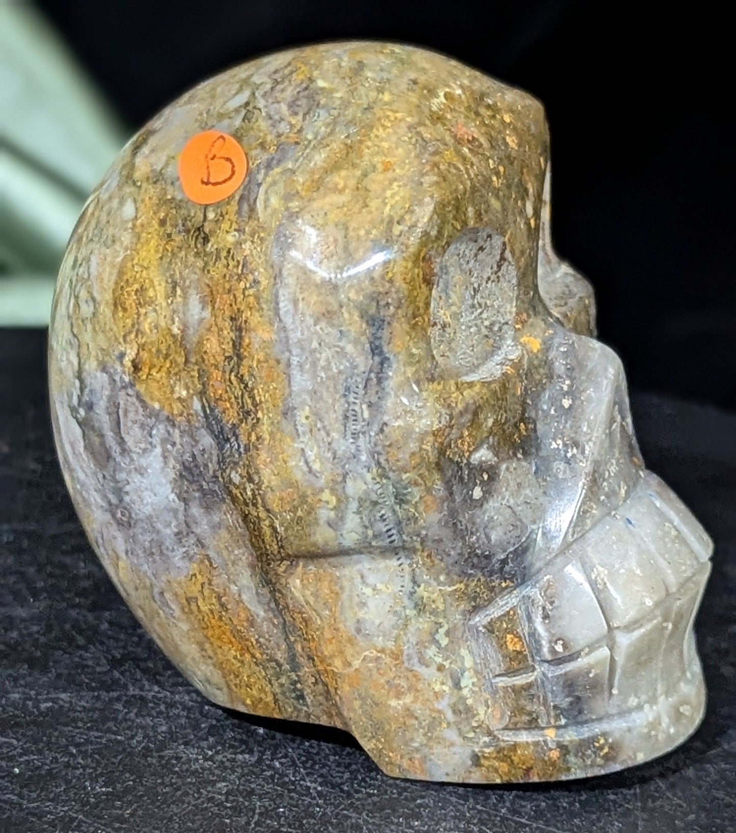 Bumblebee Jasper Skull