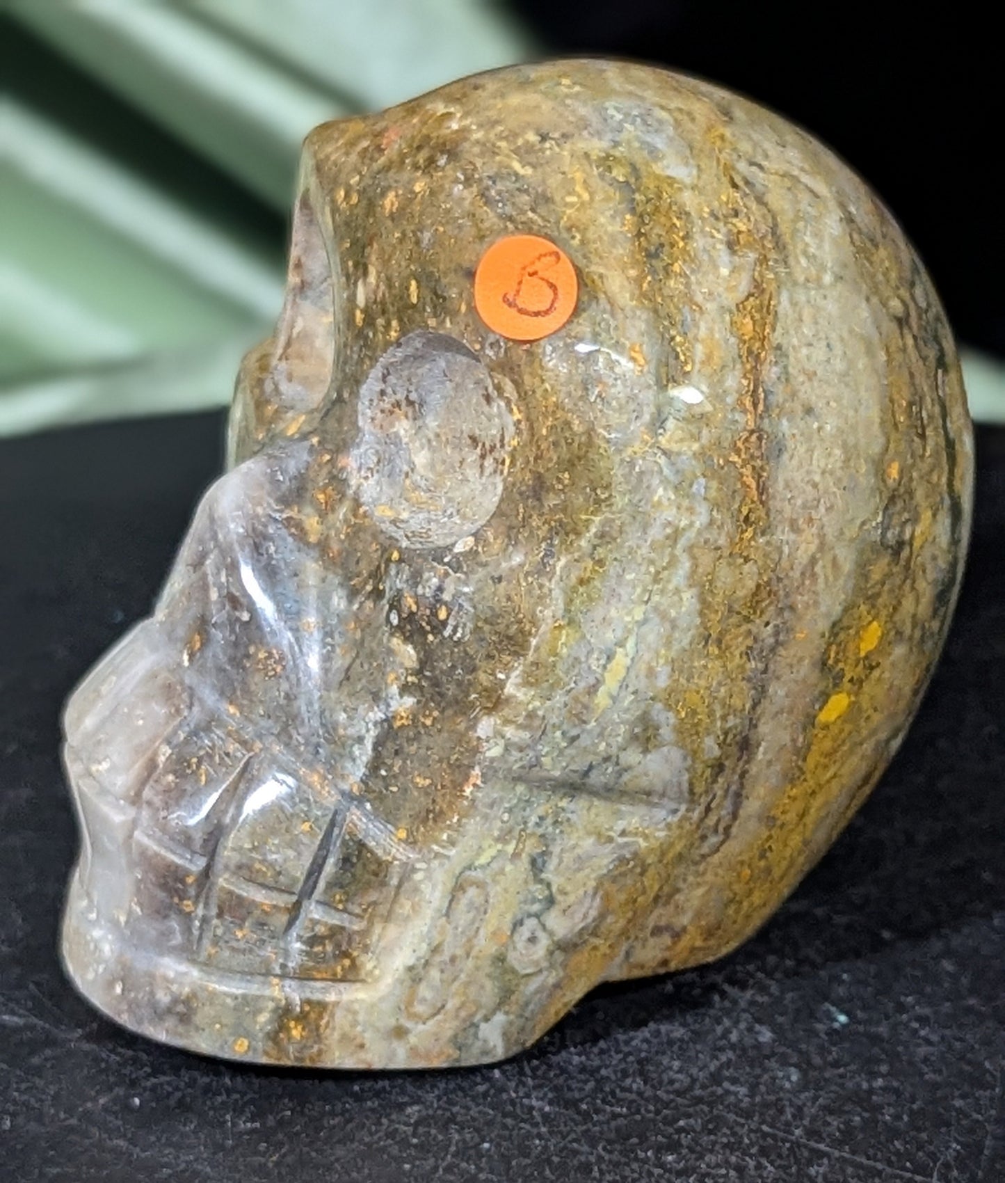 Bumblebee Jasper Skull