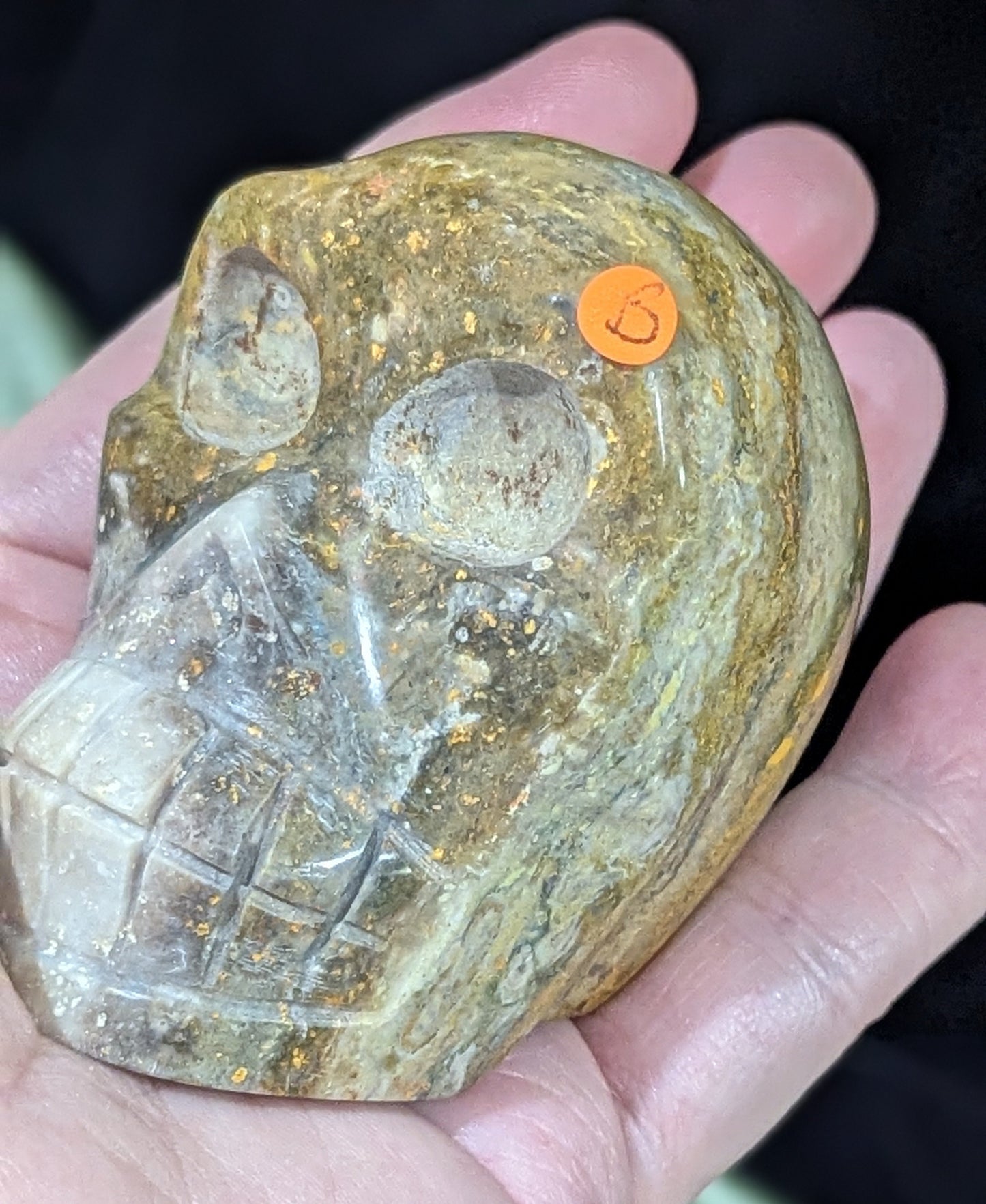 Bumblebee Jasper Skull