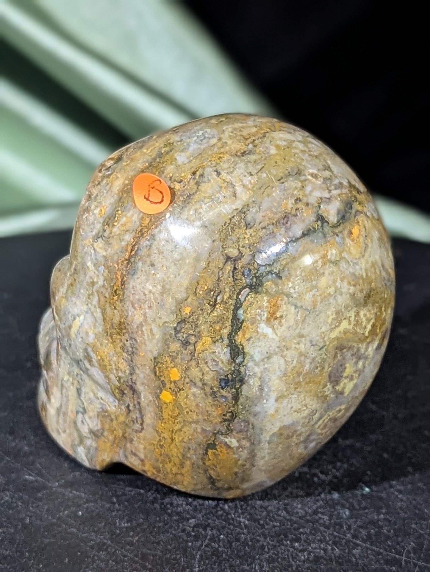 Bumblebee Jasper Skull