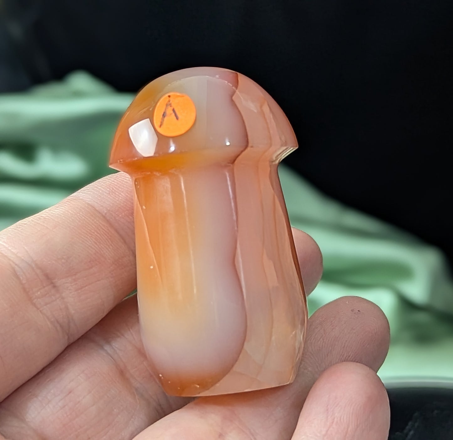 Carnelian Mushroom