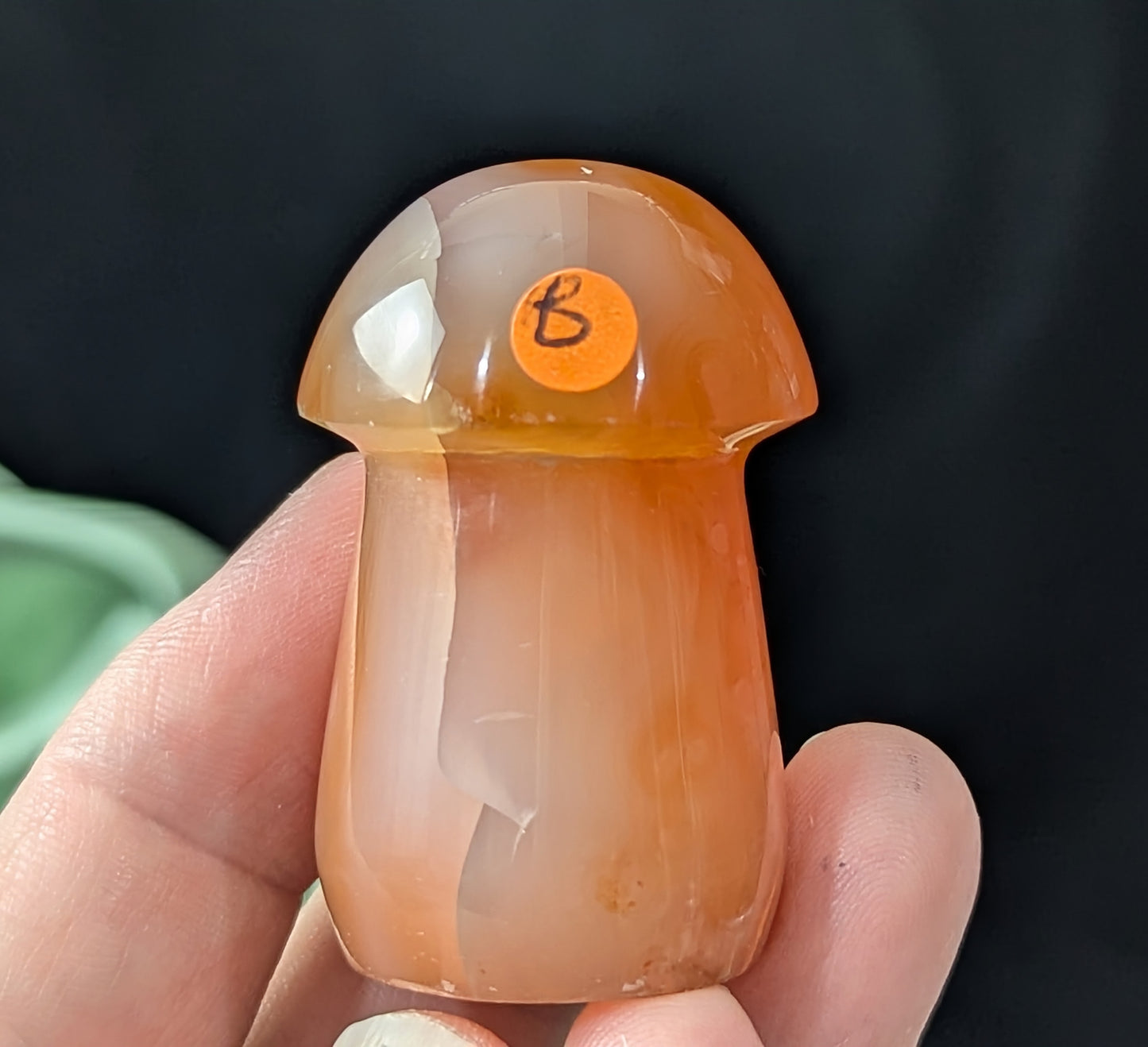Carnelian Mushroom