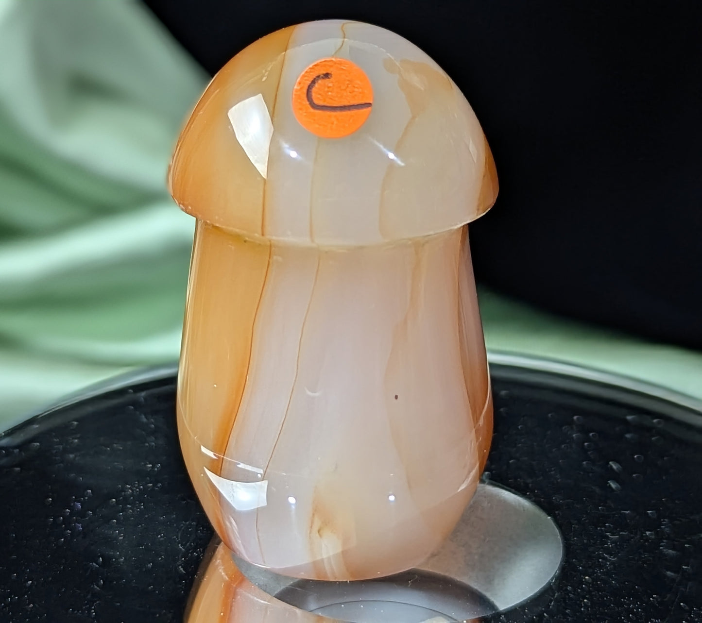 Carnelian Mushroom