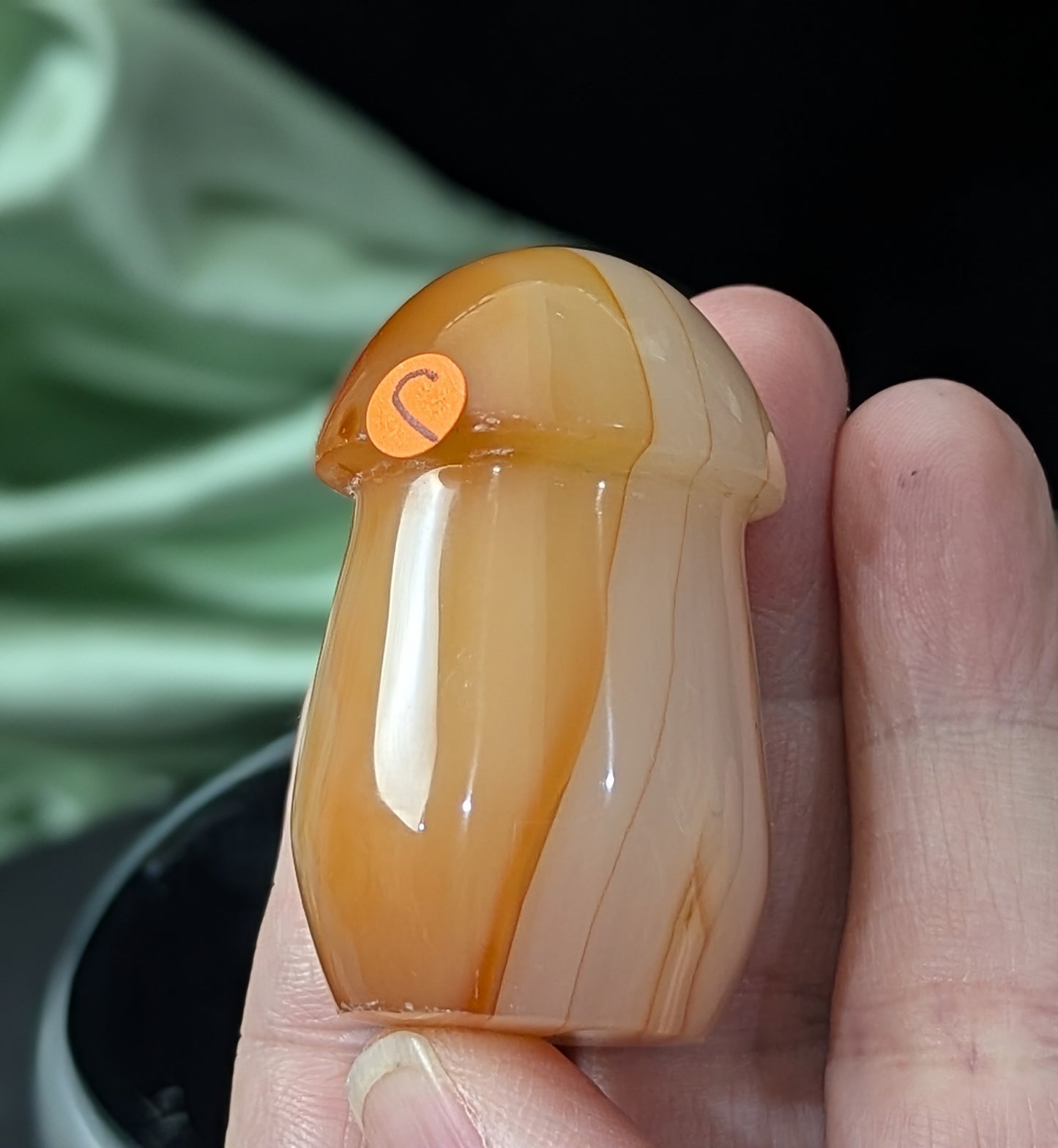 Carnelian Mushroom
