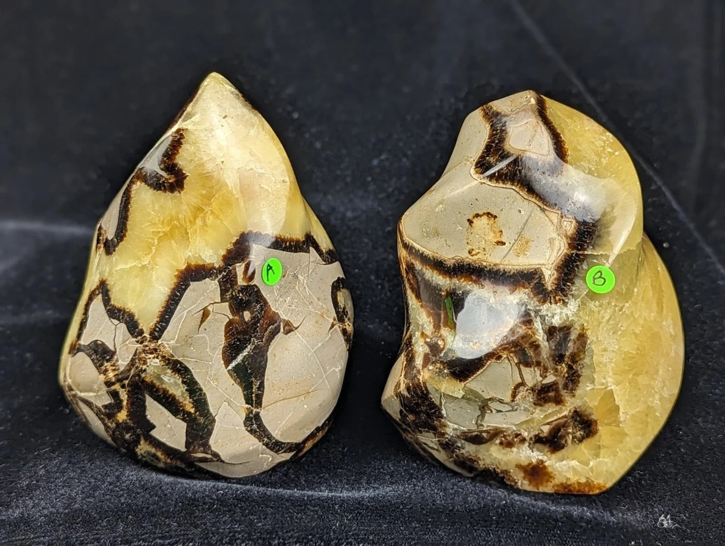 Dragon Stone Flames