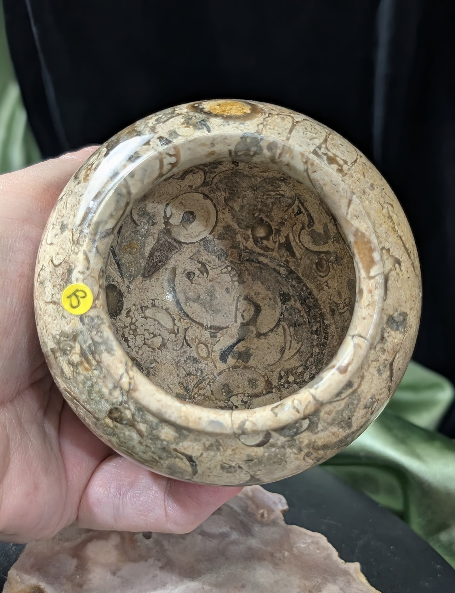 Fossil Coral Jasper Jar
