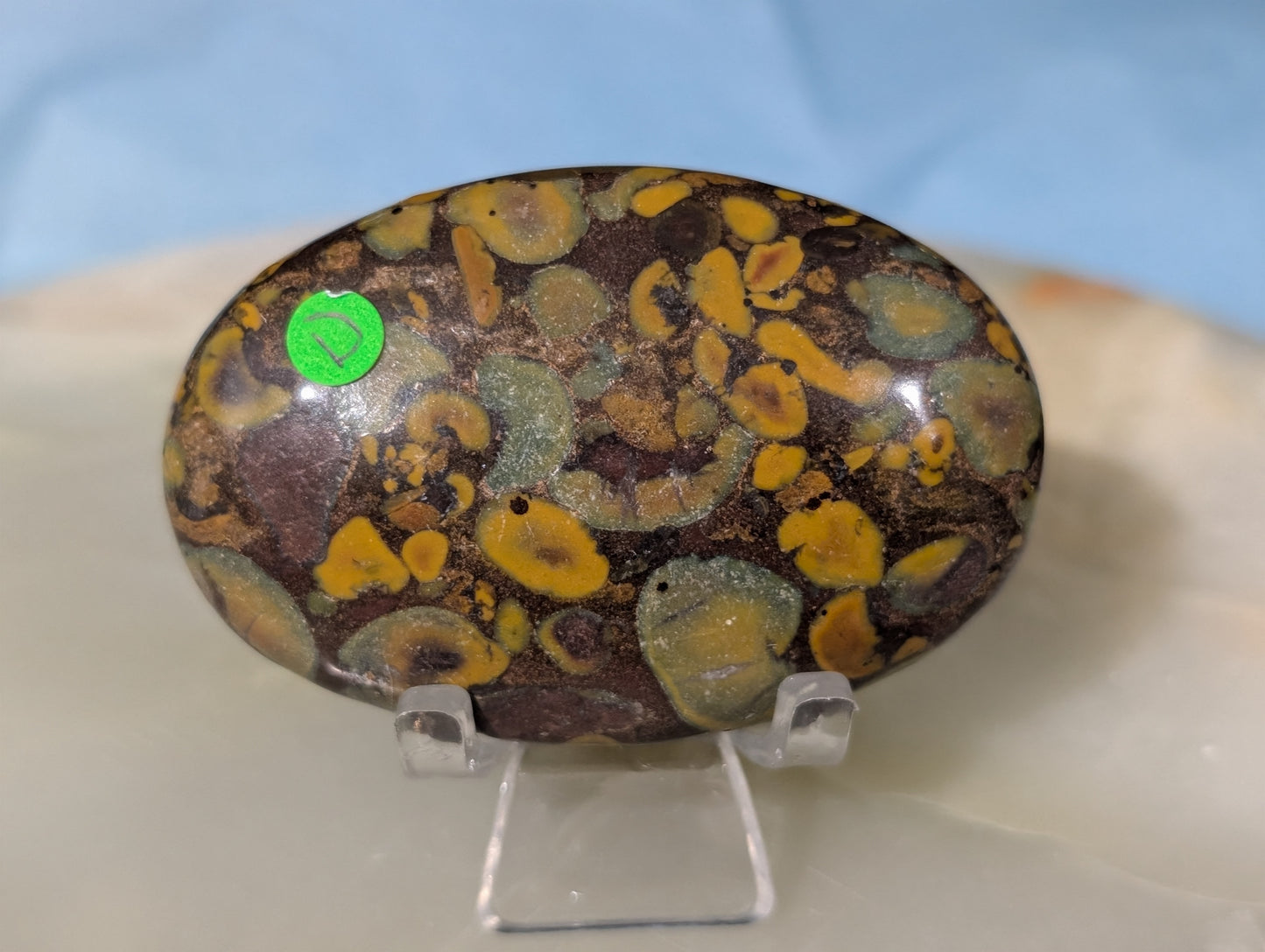 Fruit Jasper Palm Stone