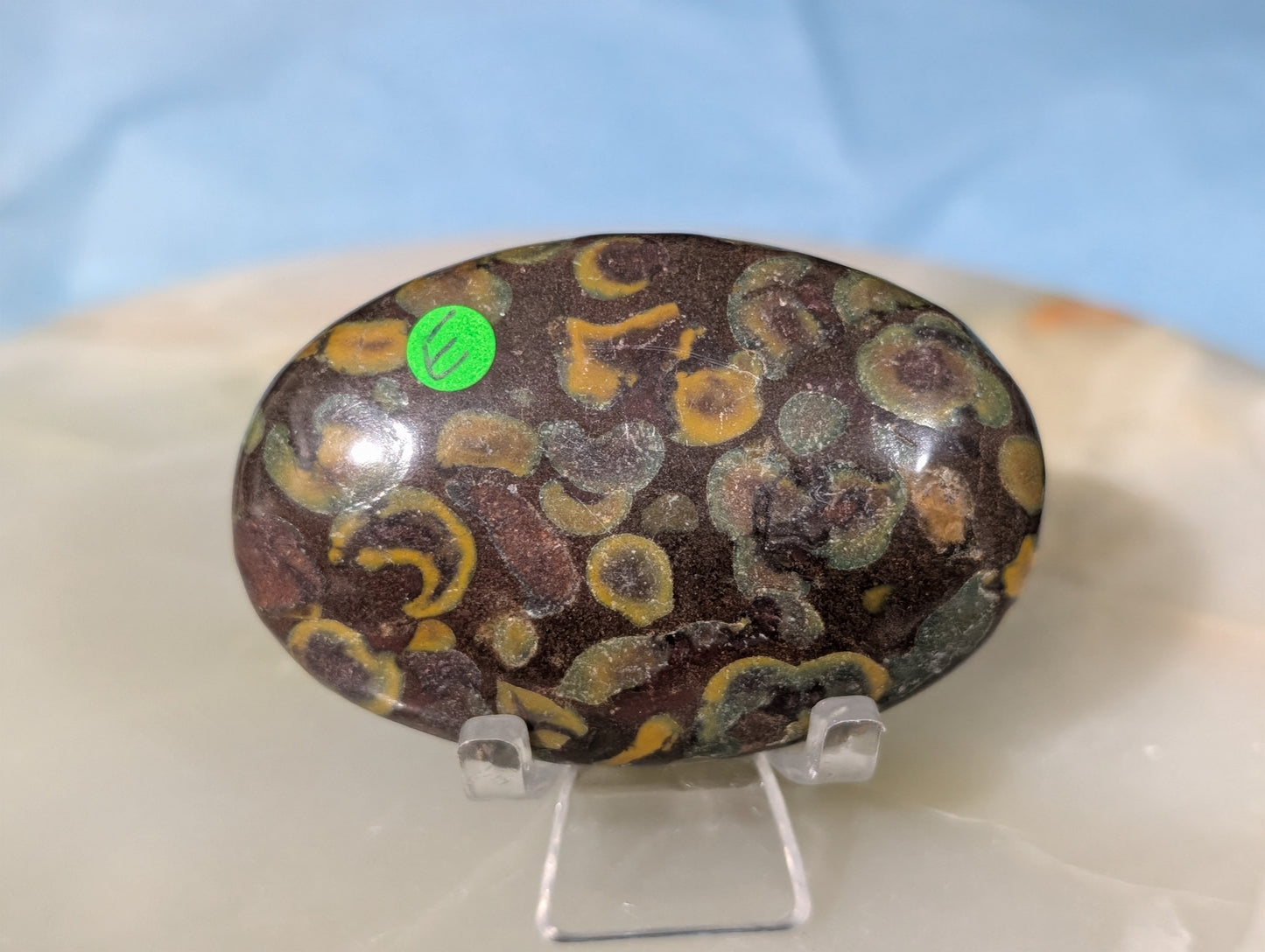 Fruit Jasper Palm Stone