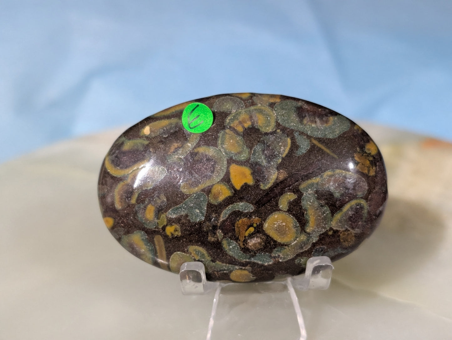 Fruit Jasper Palm Stone