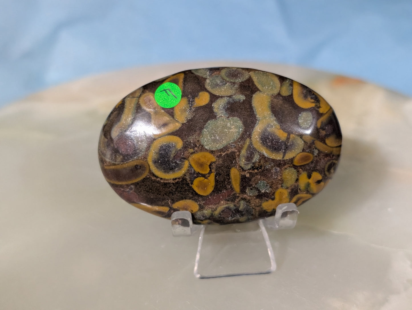 Fruit Jasper Palm Stone