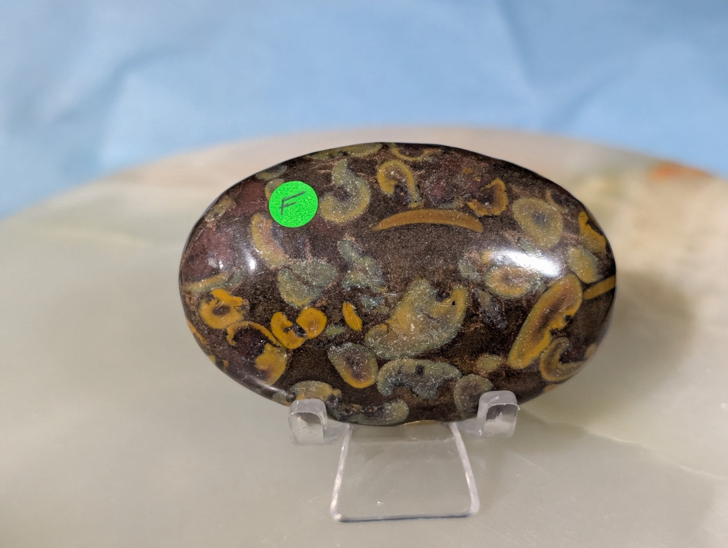 Fruit Jasper Palm Stone