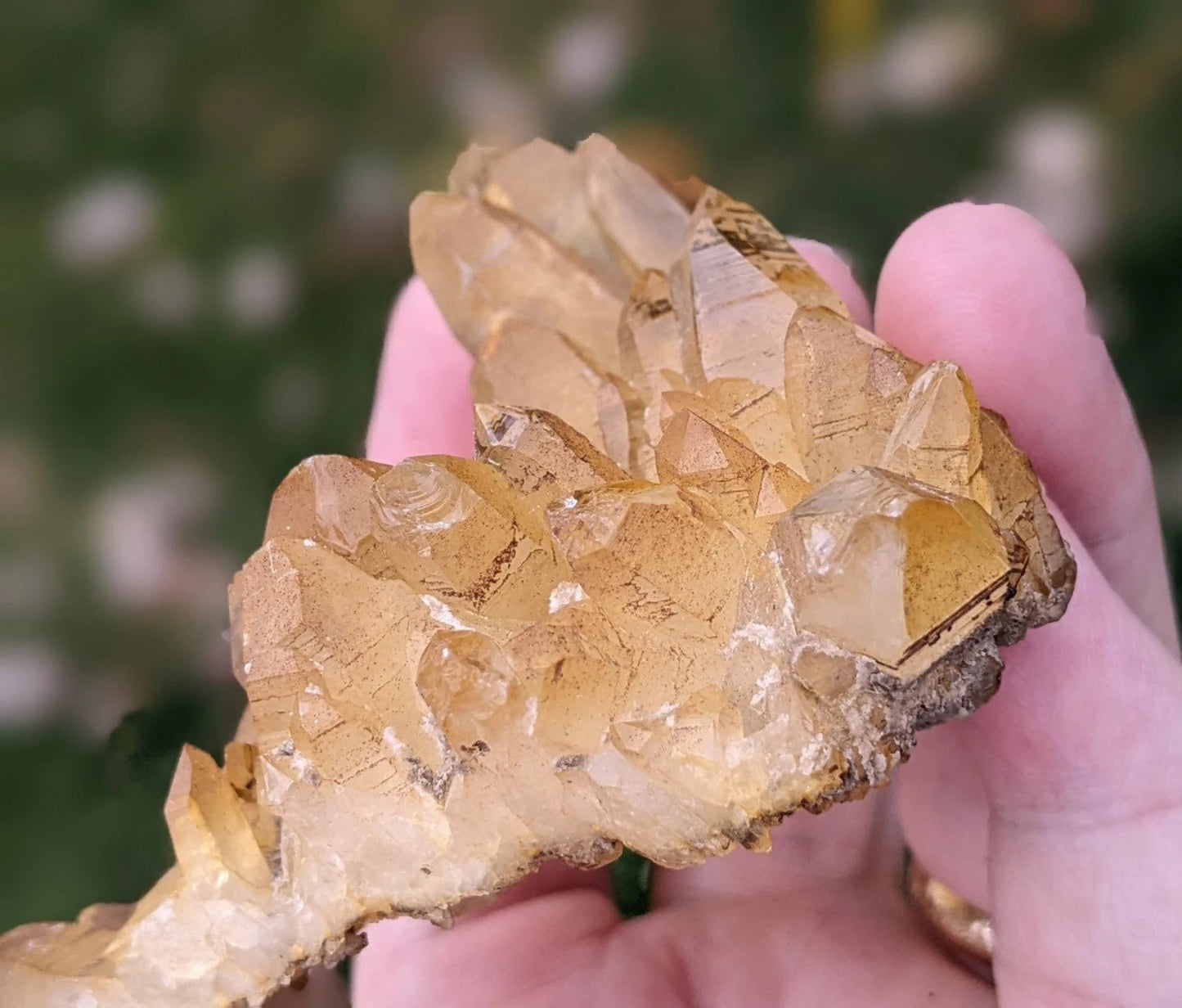 Natural Iron Coated Quartz Specimen ~ Golden Quartz Points