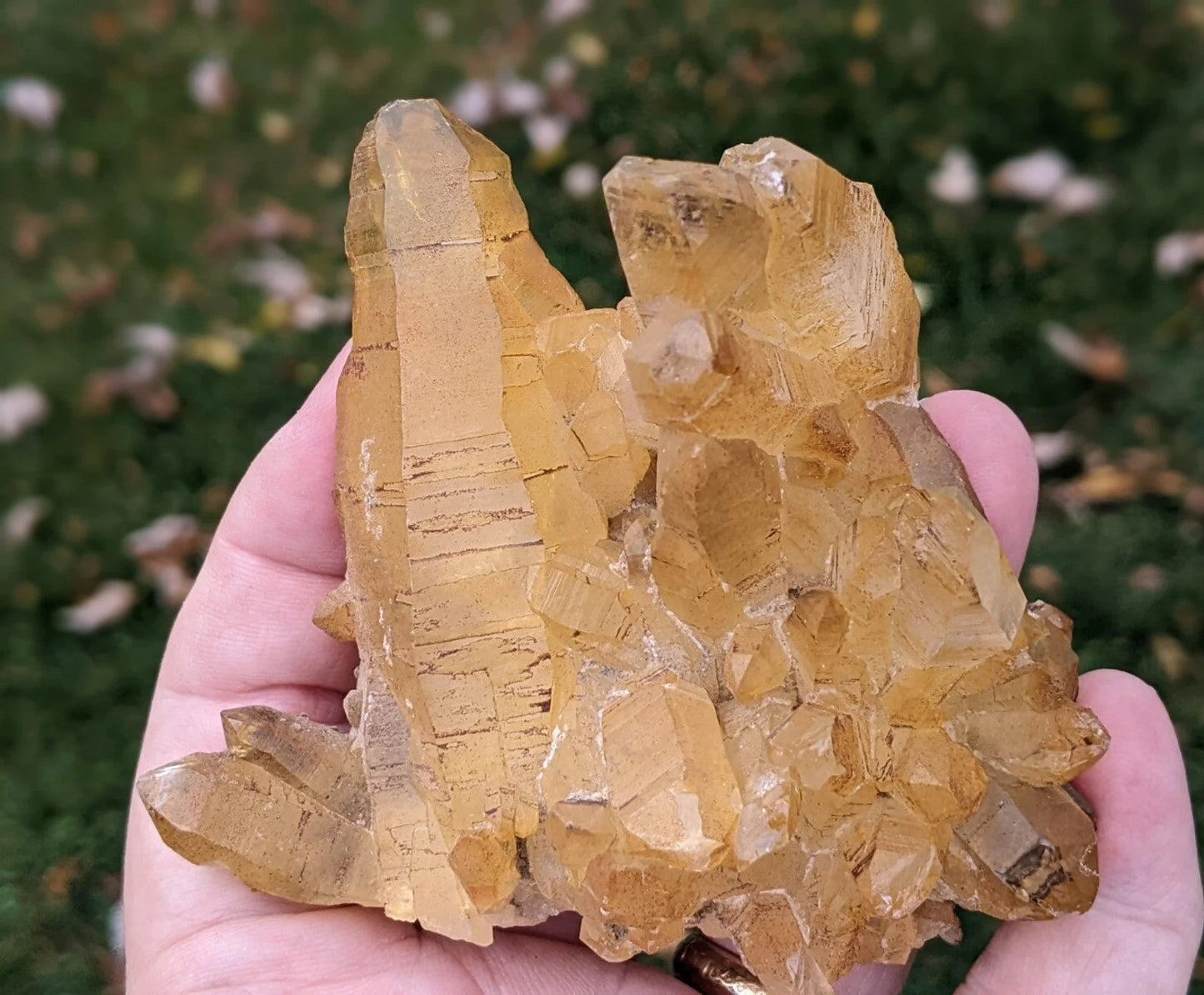Natural Iron Coated Quartz Specimen ~ Golden Quartz Points