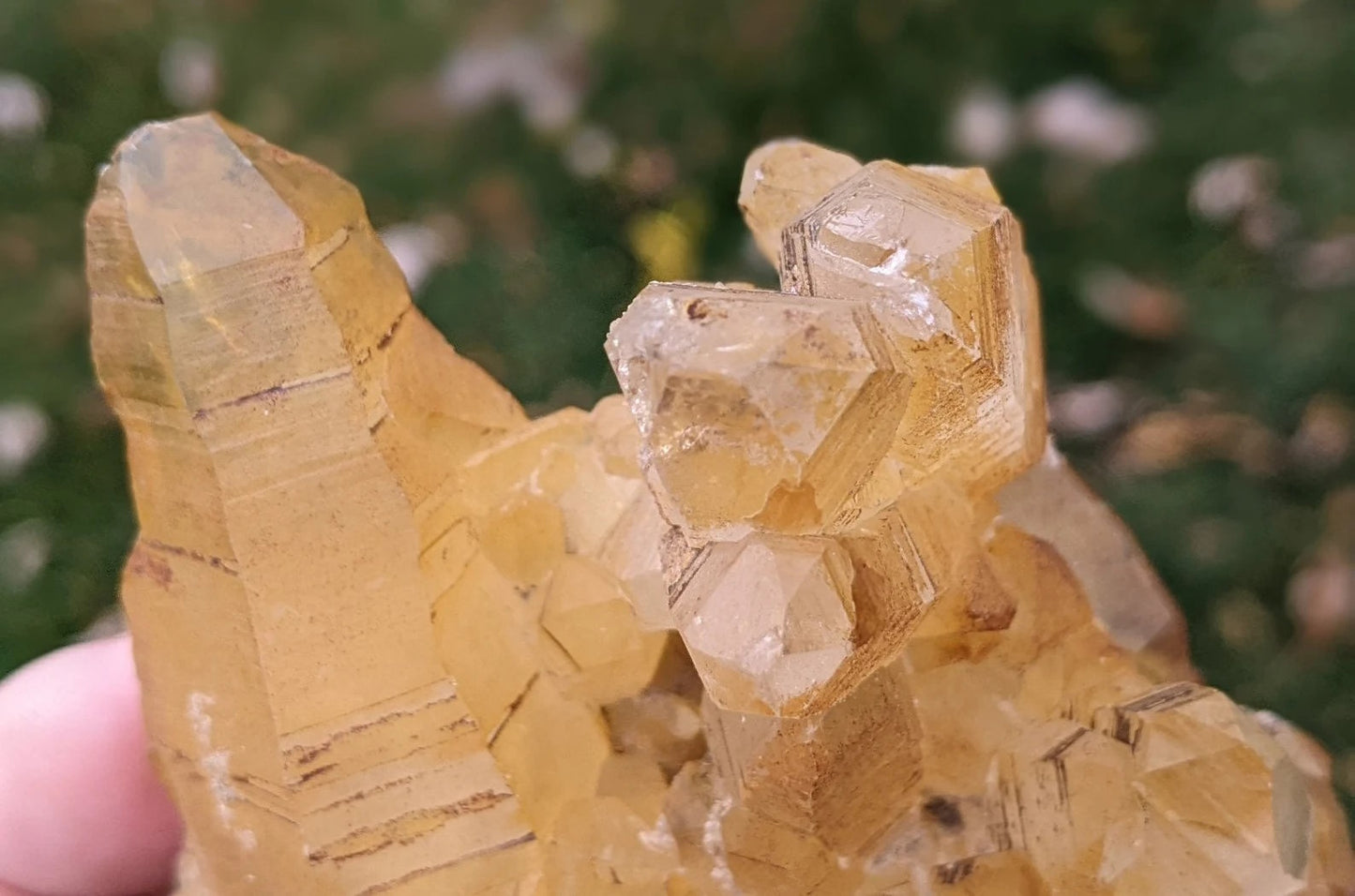 Natural Iron Coated Quartz Specimen ~ Golden Quartz Points