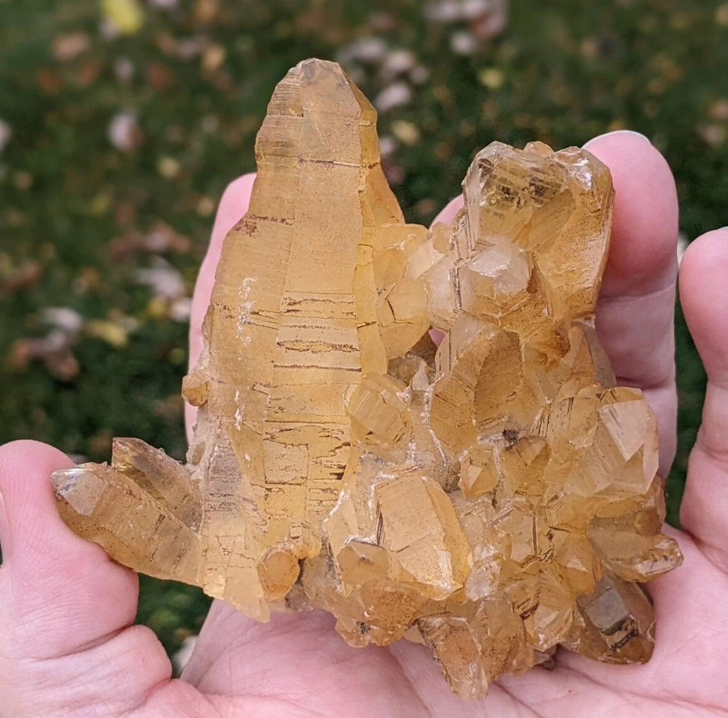 Natural Iron Coated Quartz Specimen ~ Golden Quartz Points