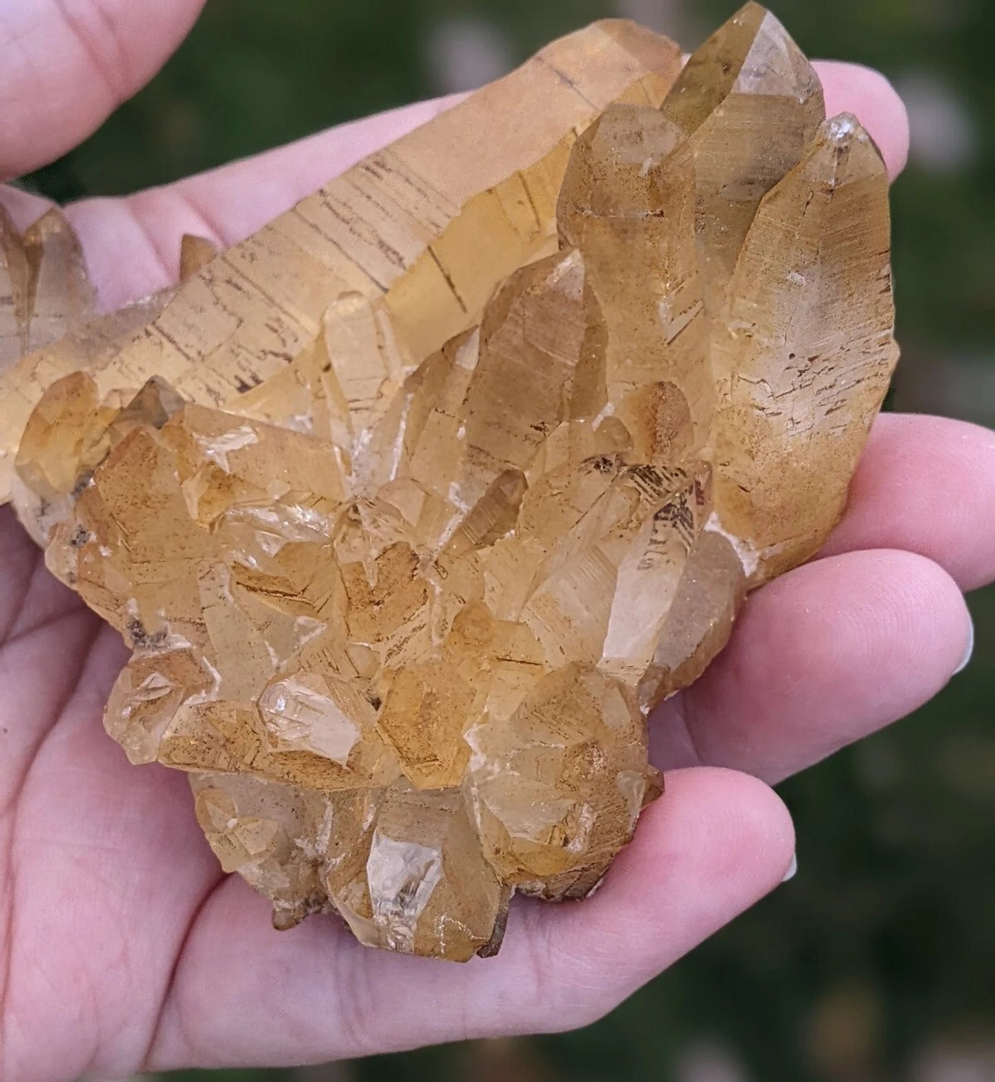 Natural Iron Coated Quartz Specimen ~ Golden Quartz Points