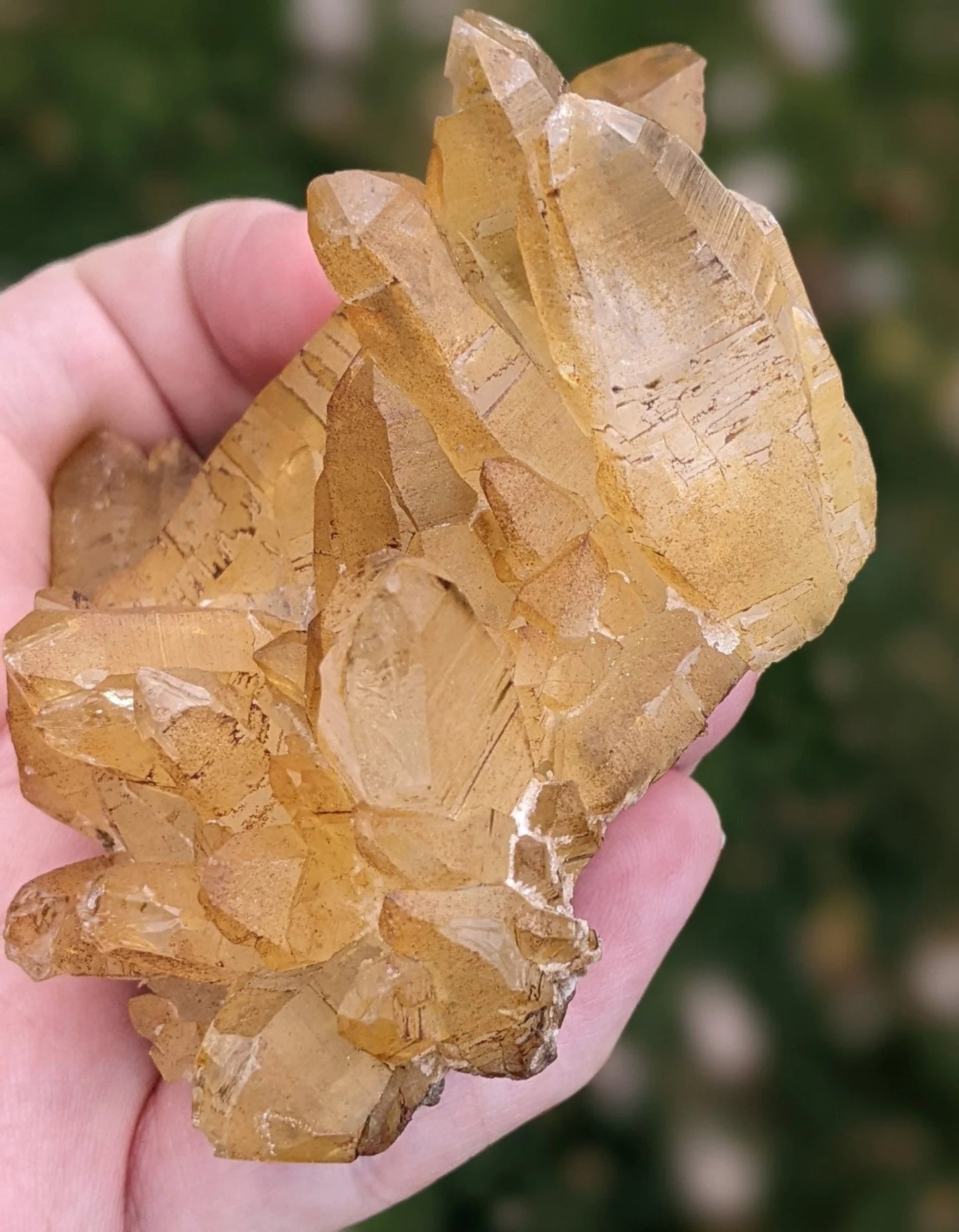 Natural Iron Coated Quartz Specimen ~ Golden Quartz Points