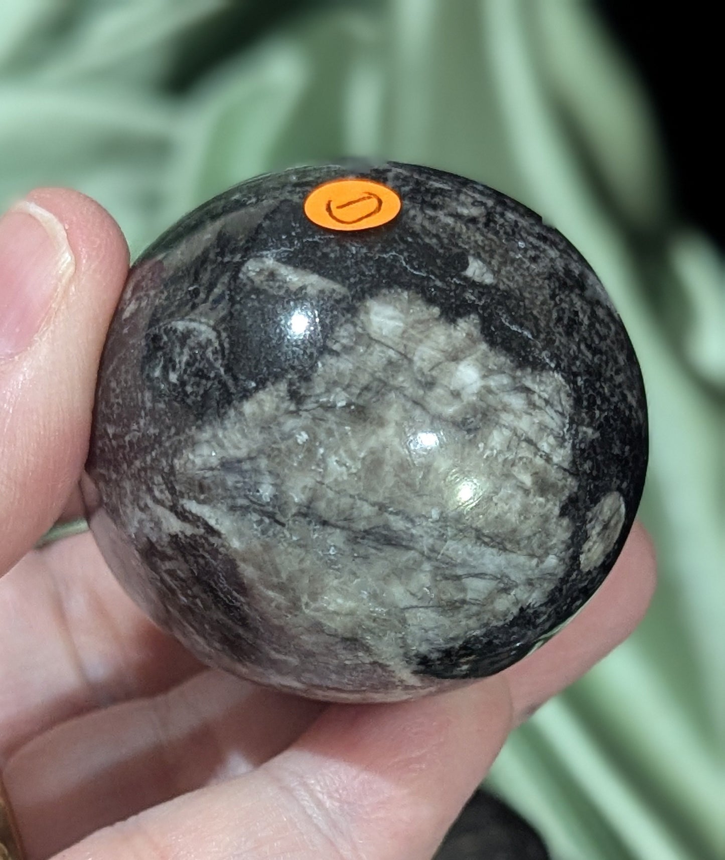 Orthoceras Fossil Egg