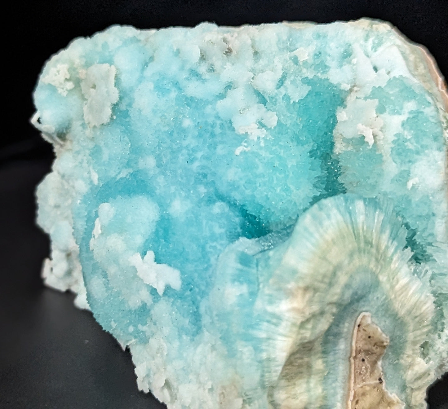 Blue Aragonite Specimen ~ Raw Blue Aragonite ~ Natural Aragonite Crystal Specimen