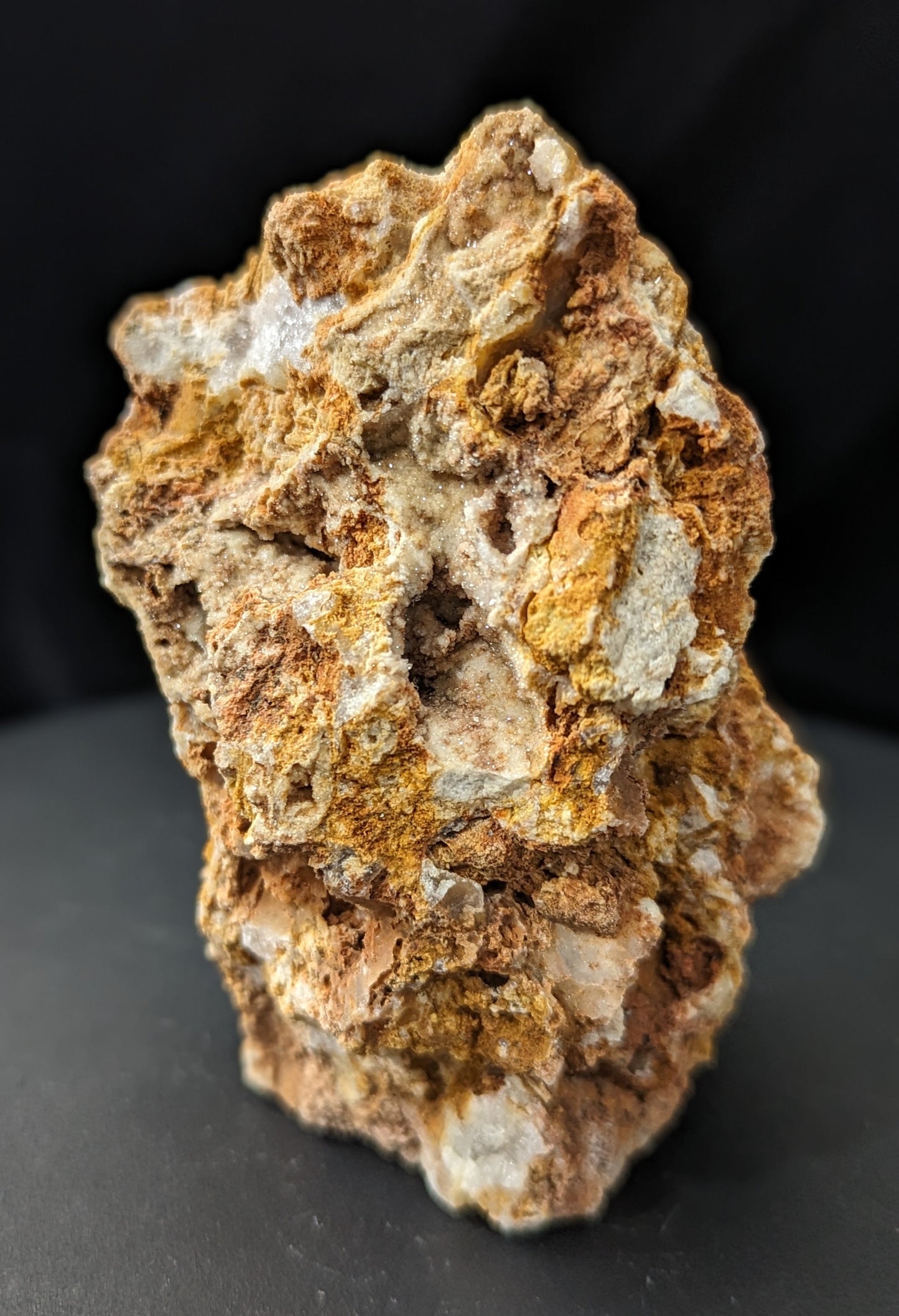 Agatized Coral Specimen