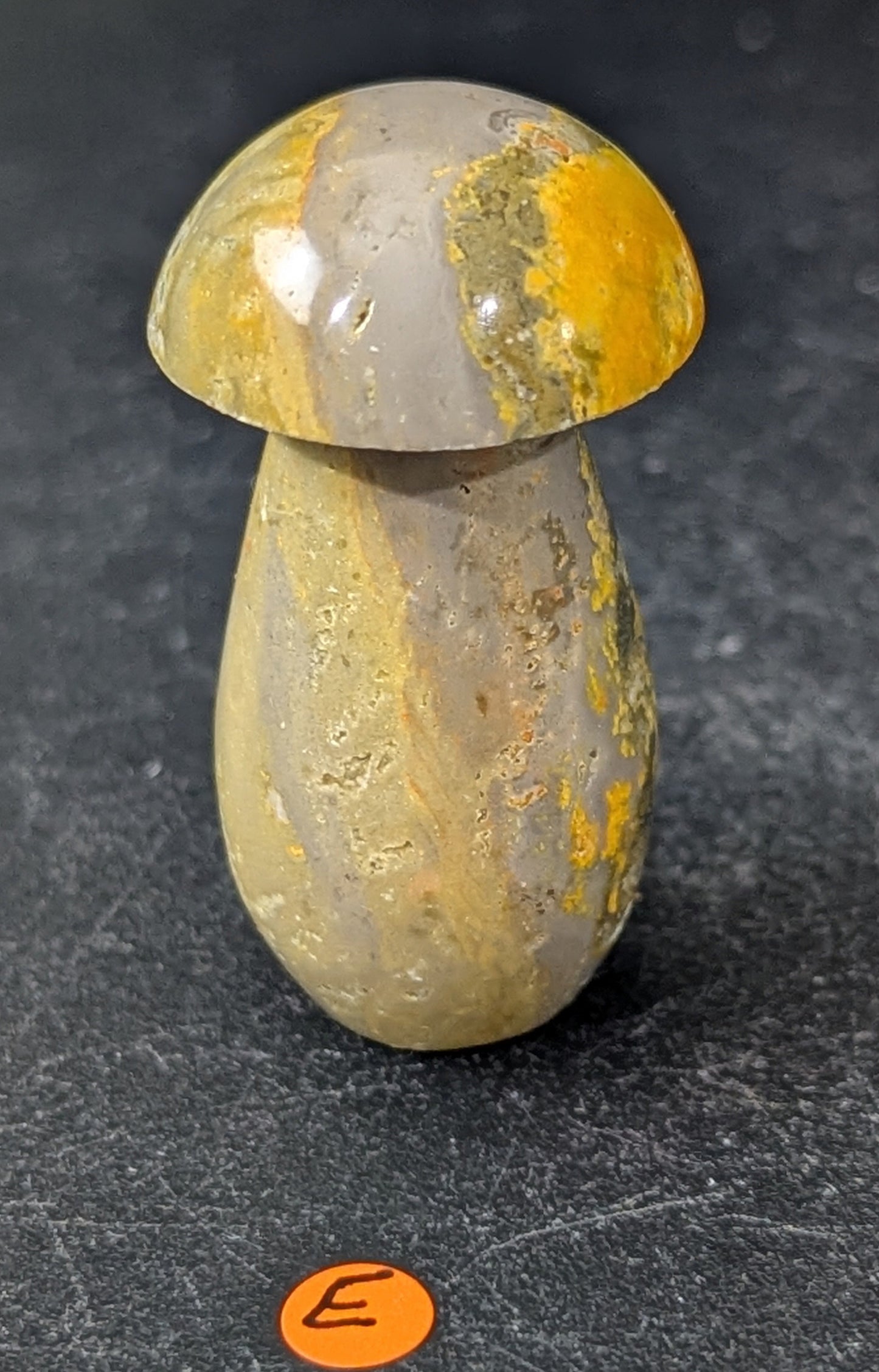 Bumblebee Jasper Mushrooms