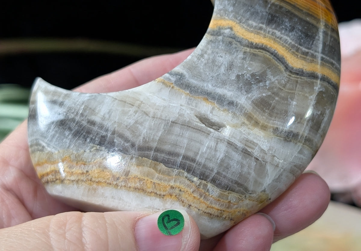 Pakistani Banded Bumblebee Jasper Moon