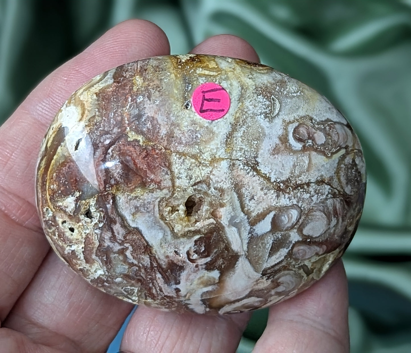 Petrified Wood Palm Stone