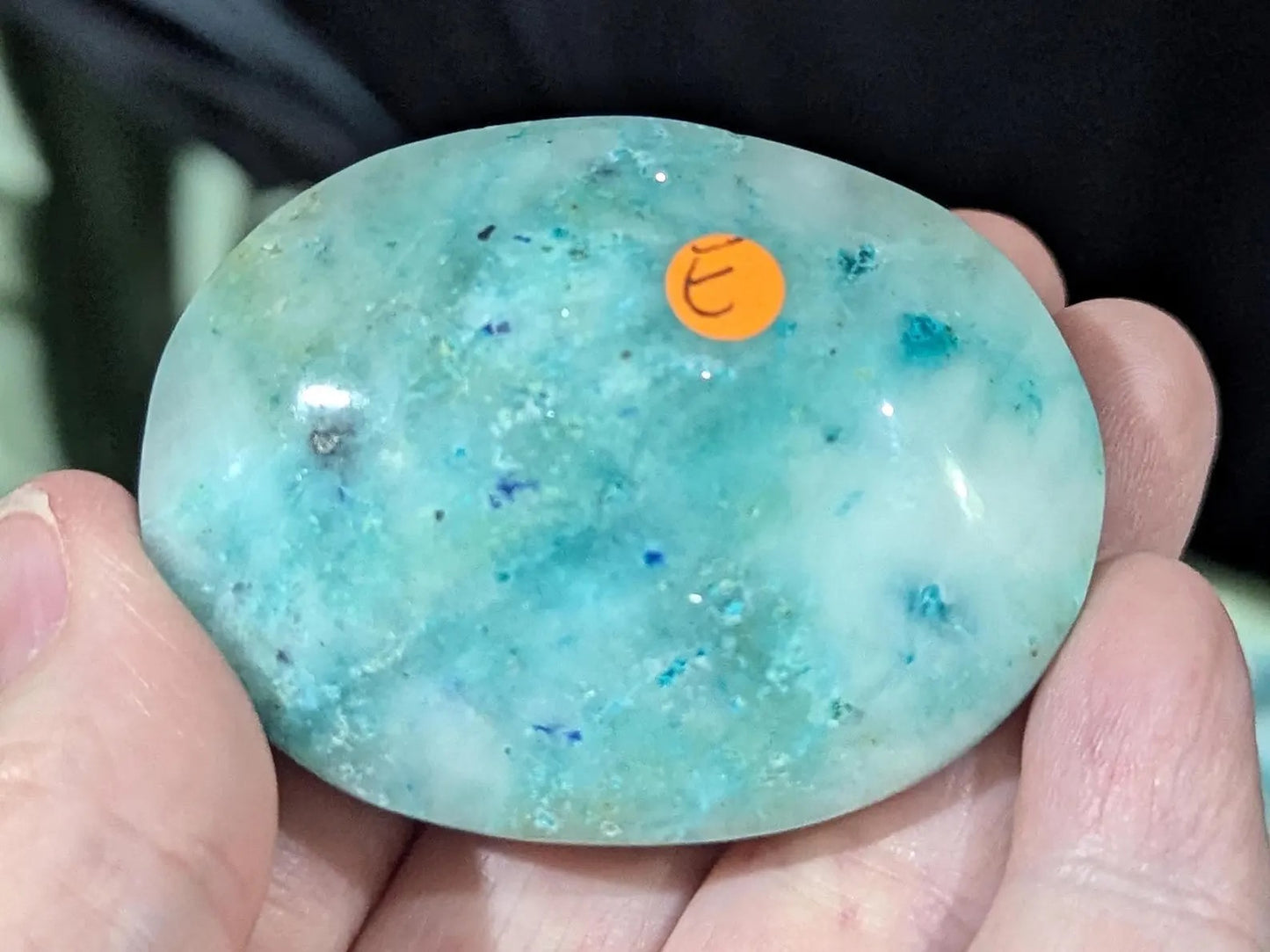 Phoenix Stone Palm Stone