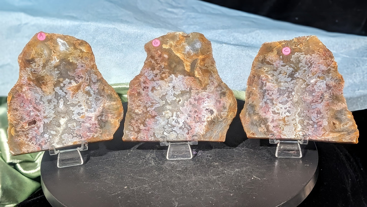 Polished Pink Moss Agate Slabs