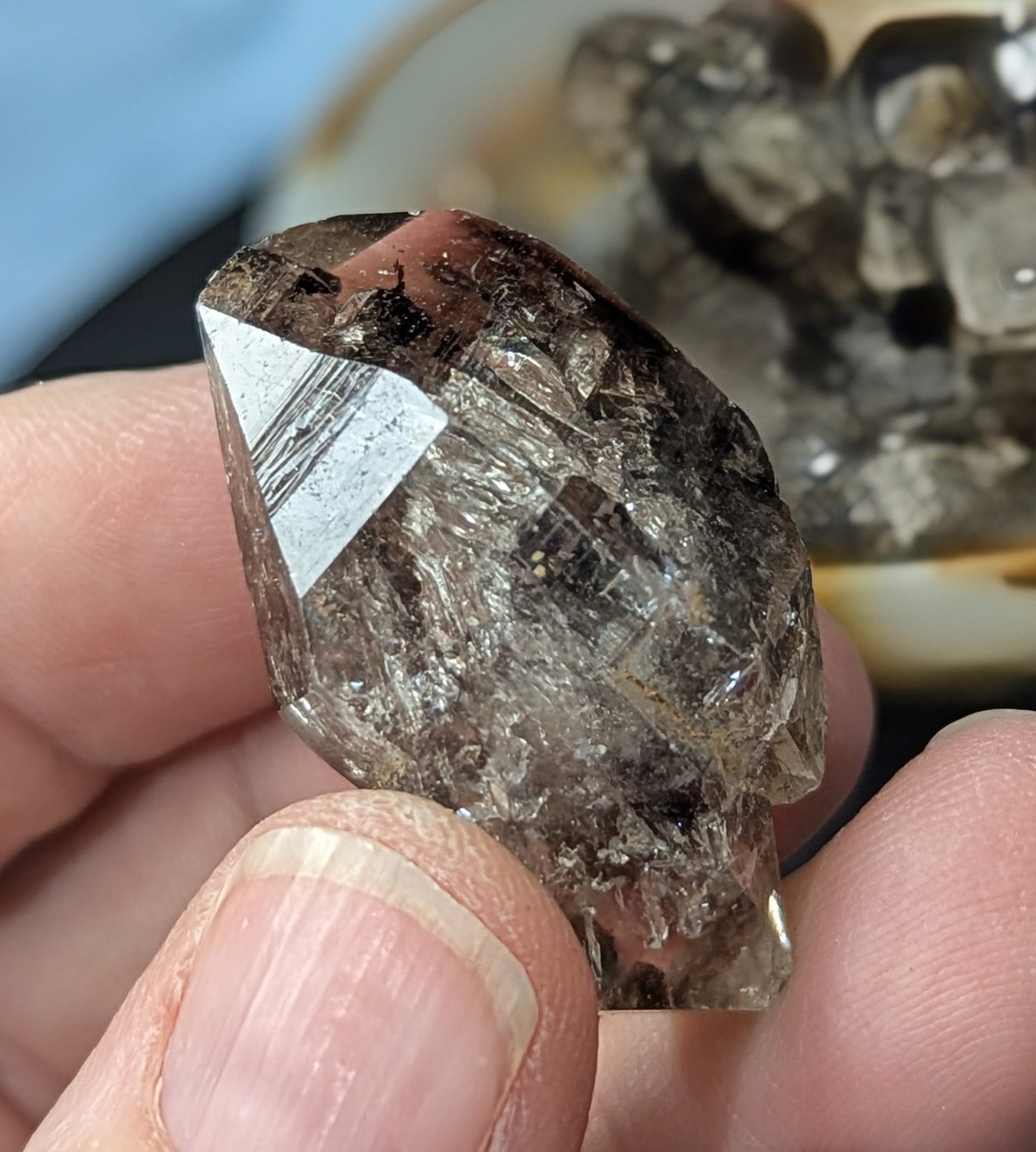 Smoky Window Quartz Teeth
