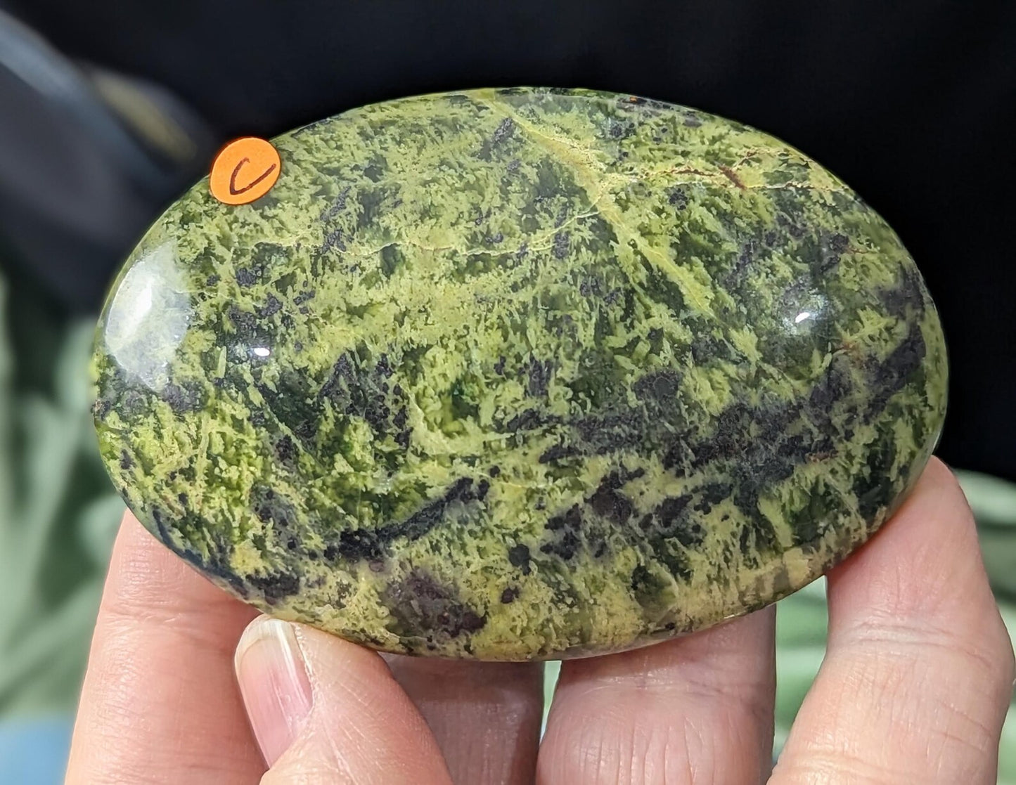 Spotted Serpentine Palm Stone
