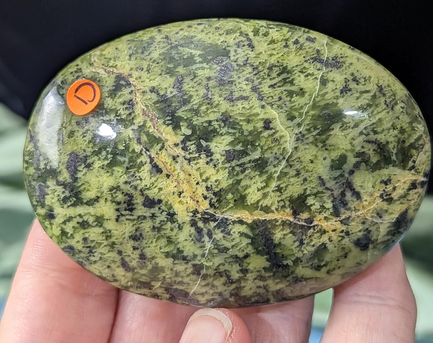 Spotted Serpentine Palm Stone