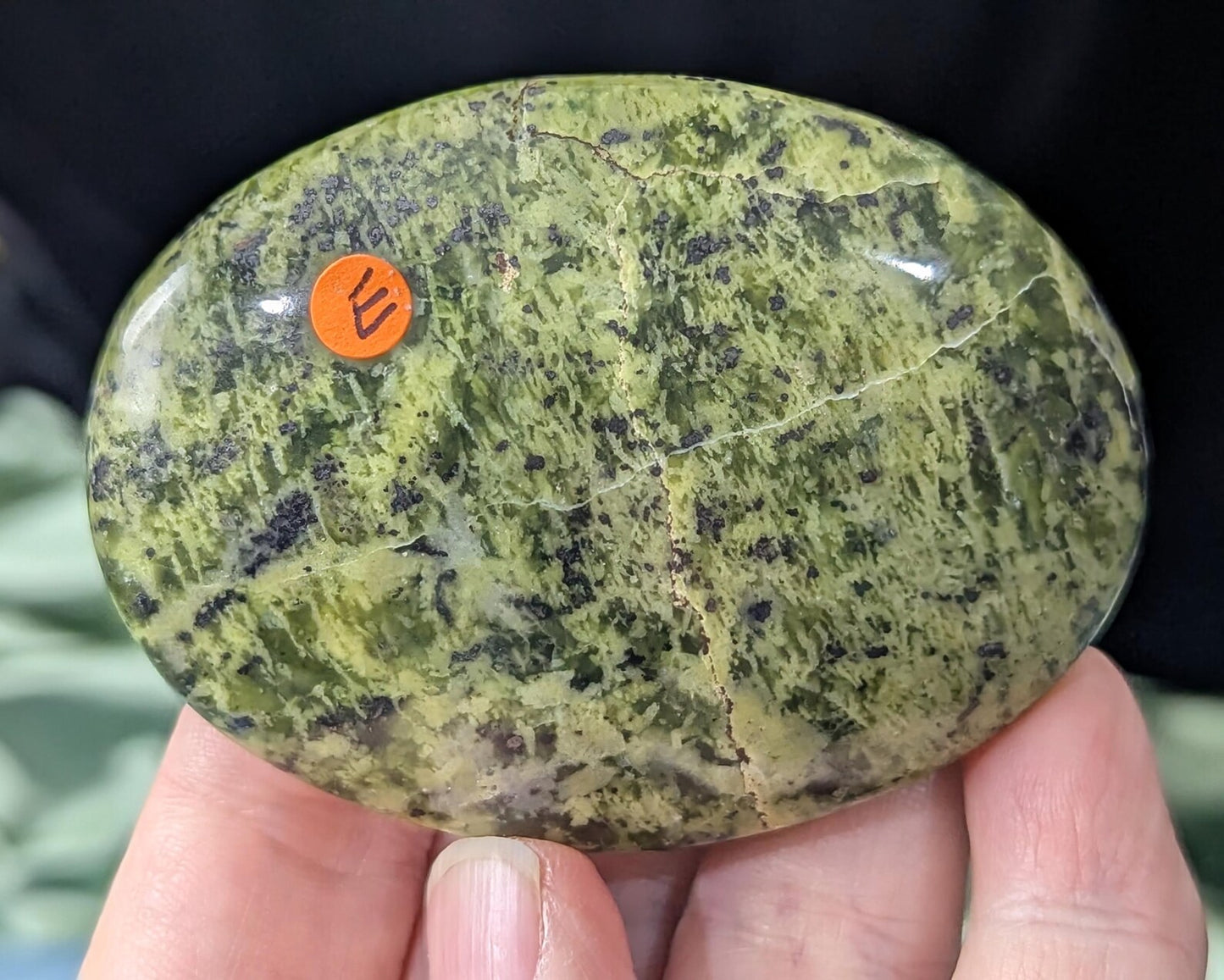 Spotted Serpentine Palm Stone