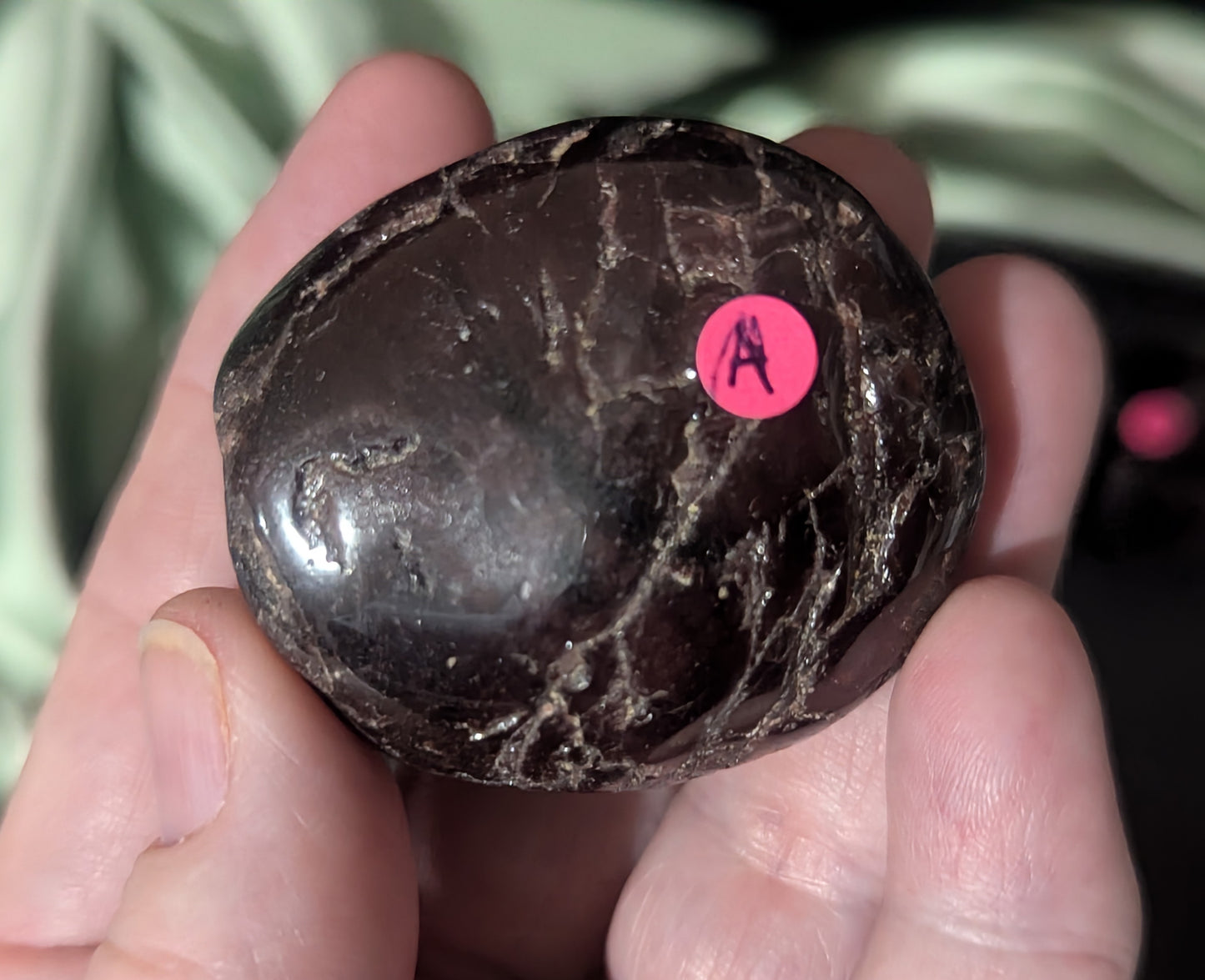 Tumbled Garnet Palm Stone