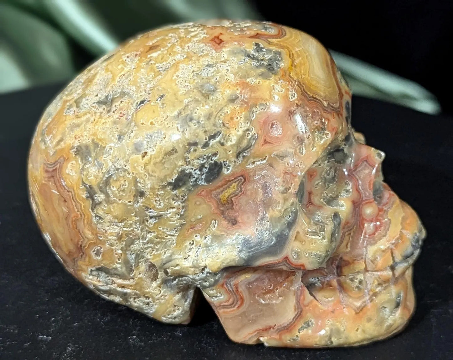 Crazy Lace Agate Skull