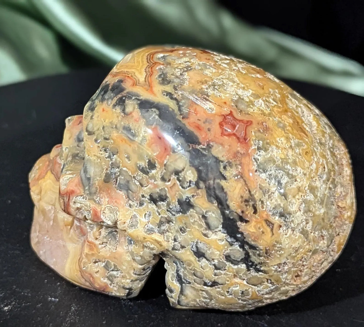 Crazy Lace Agate Skull