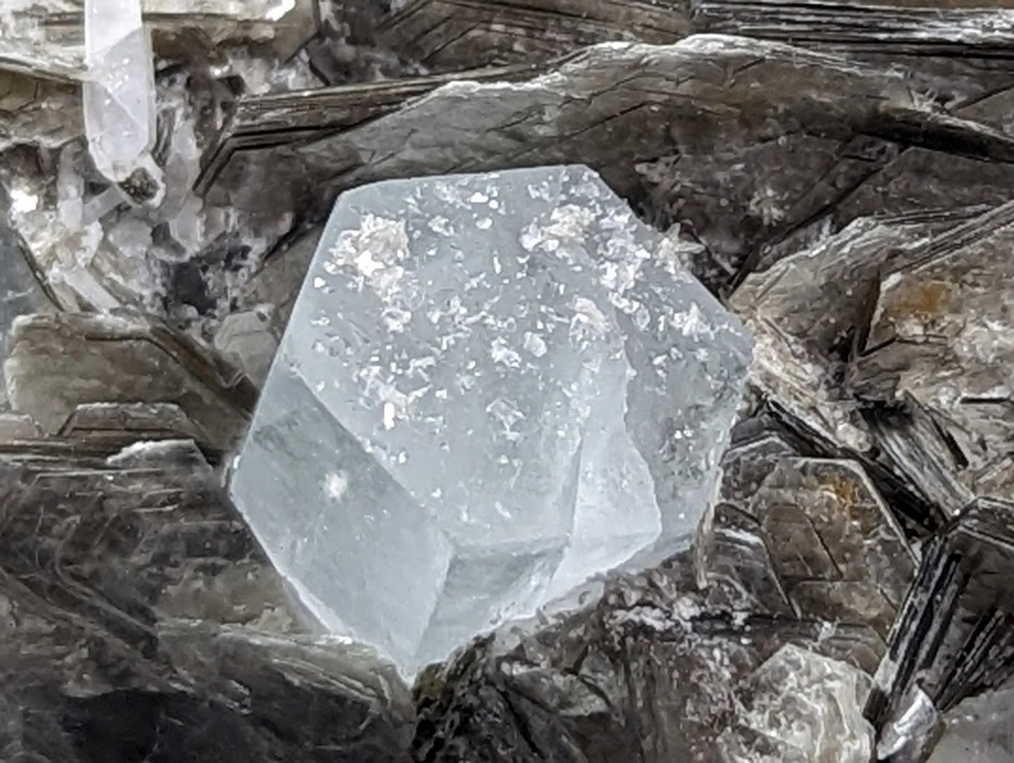 Raw Aquamarine with Muscovite Specimen ~ Aquamarine in Matrix