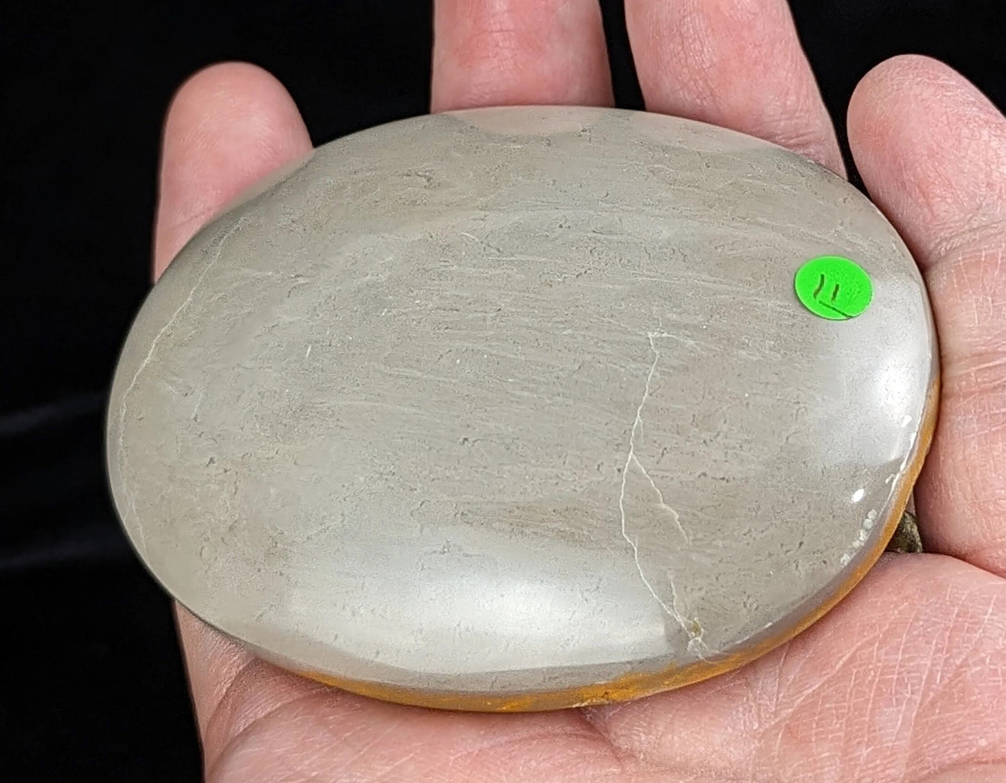 Indonesian Bumblebee Jasper Palms ~ Bumblebee Jasper Palm Stones