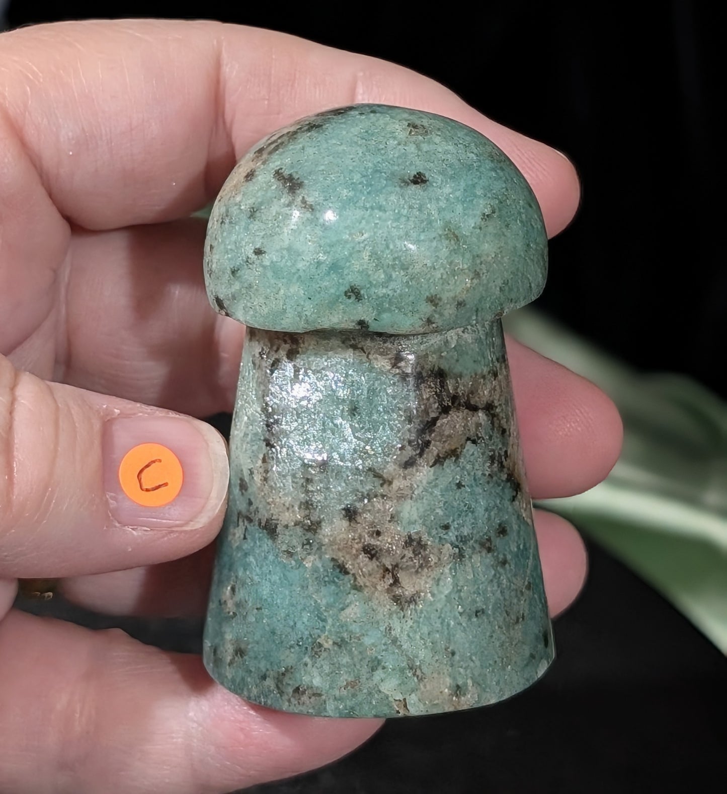 Amazonite Mushroom