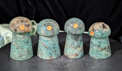 Amazonite Mushrooms