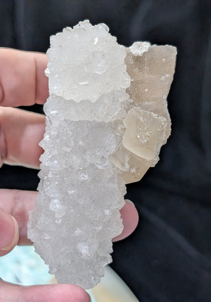 Apophyllite Stalactite Specimen