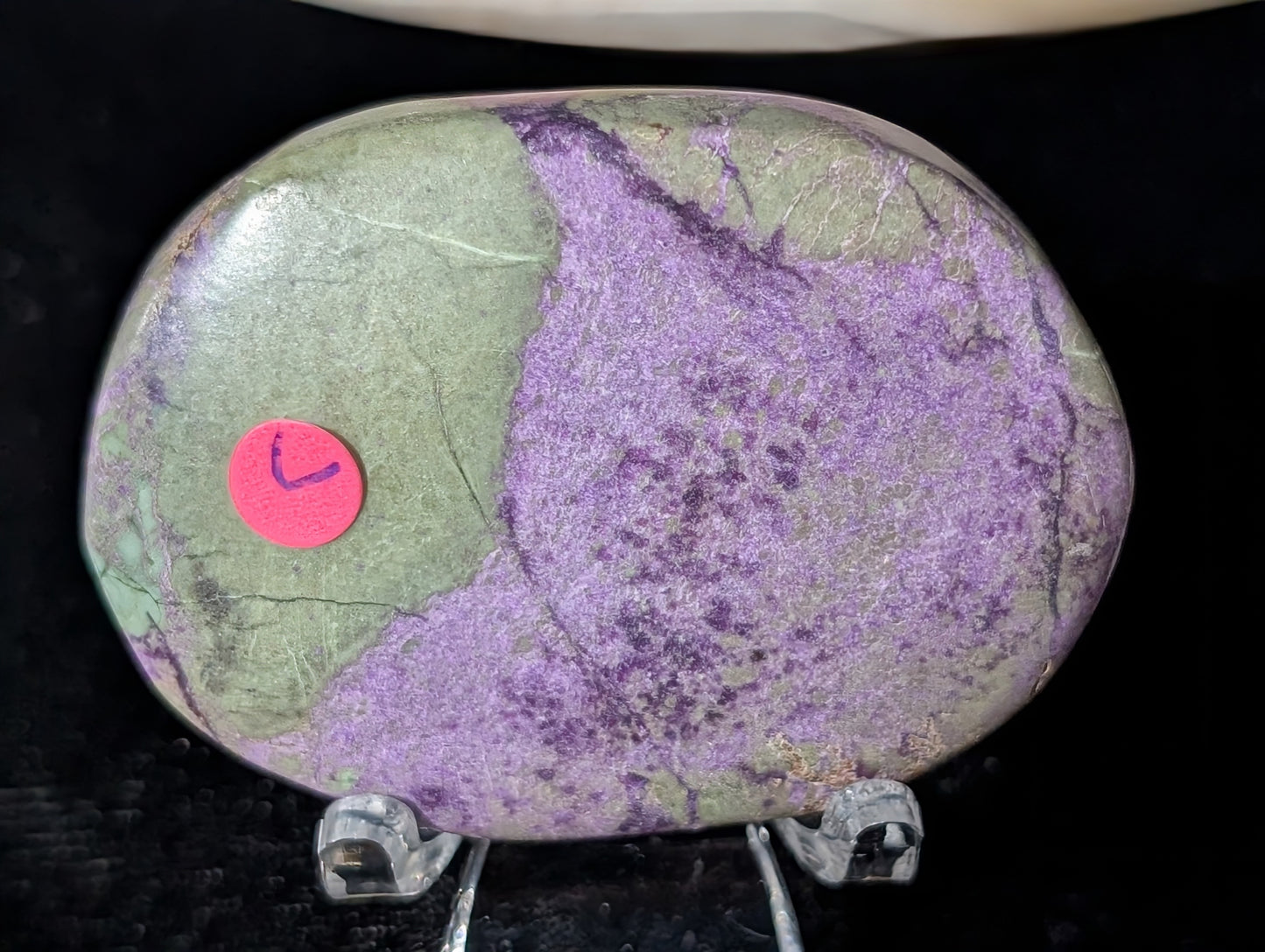 Atlantisite Palm Stone 1C1