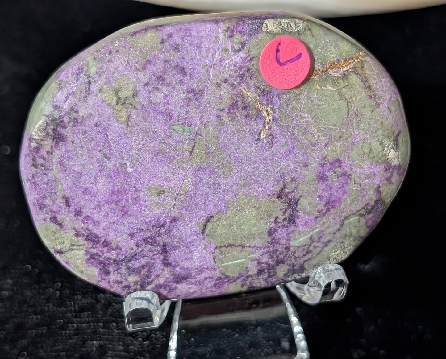 Atlantisite Palm Stone 1C2