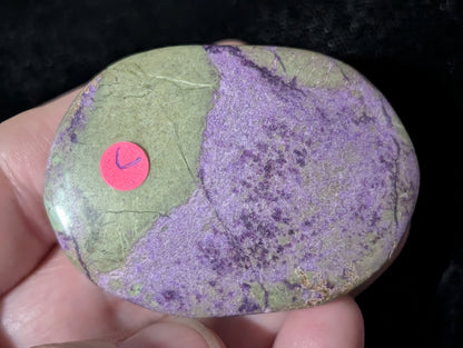 Atlantisite Palm Stone 1C3