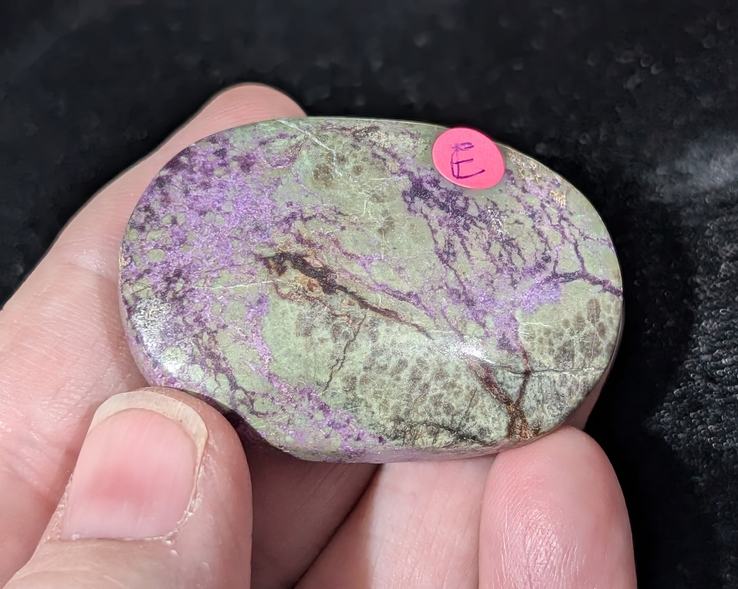 Atlantisite Palm Stone 1E2