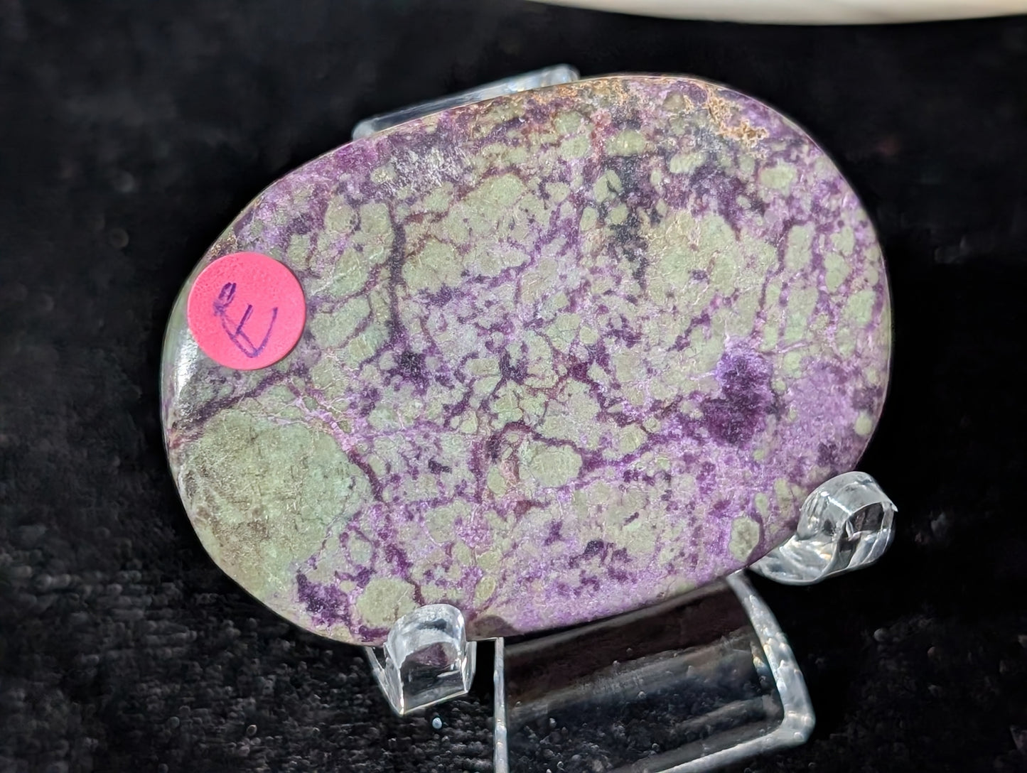 Atlantisite Palm Stone 1E3