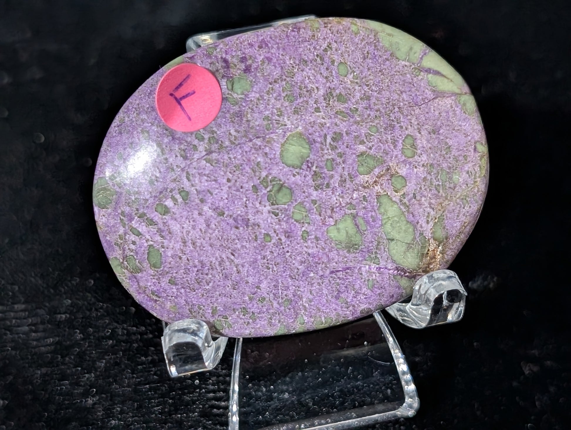 Atlantisite Palm Stone 1F1