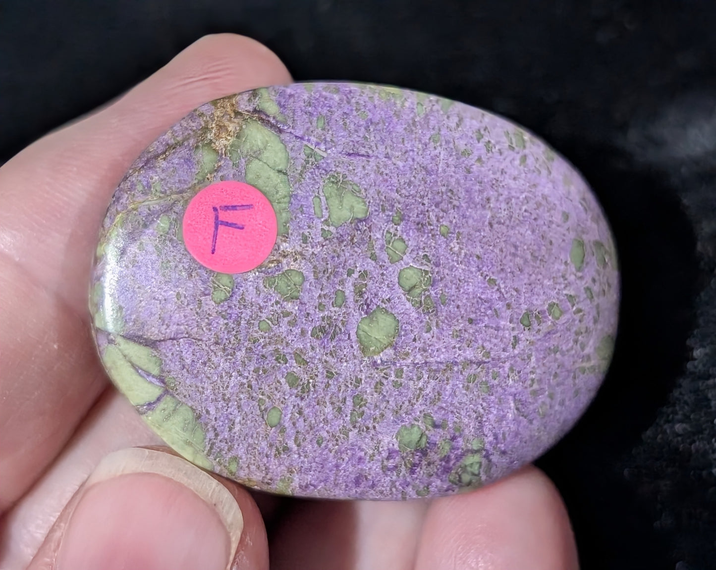 Atlantisite Palm Stone 1F3